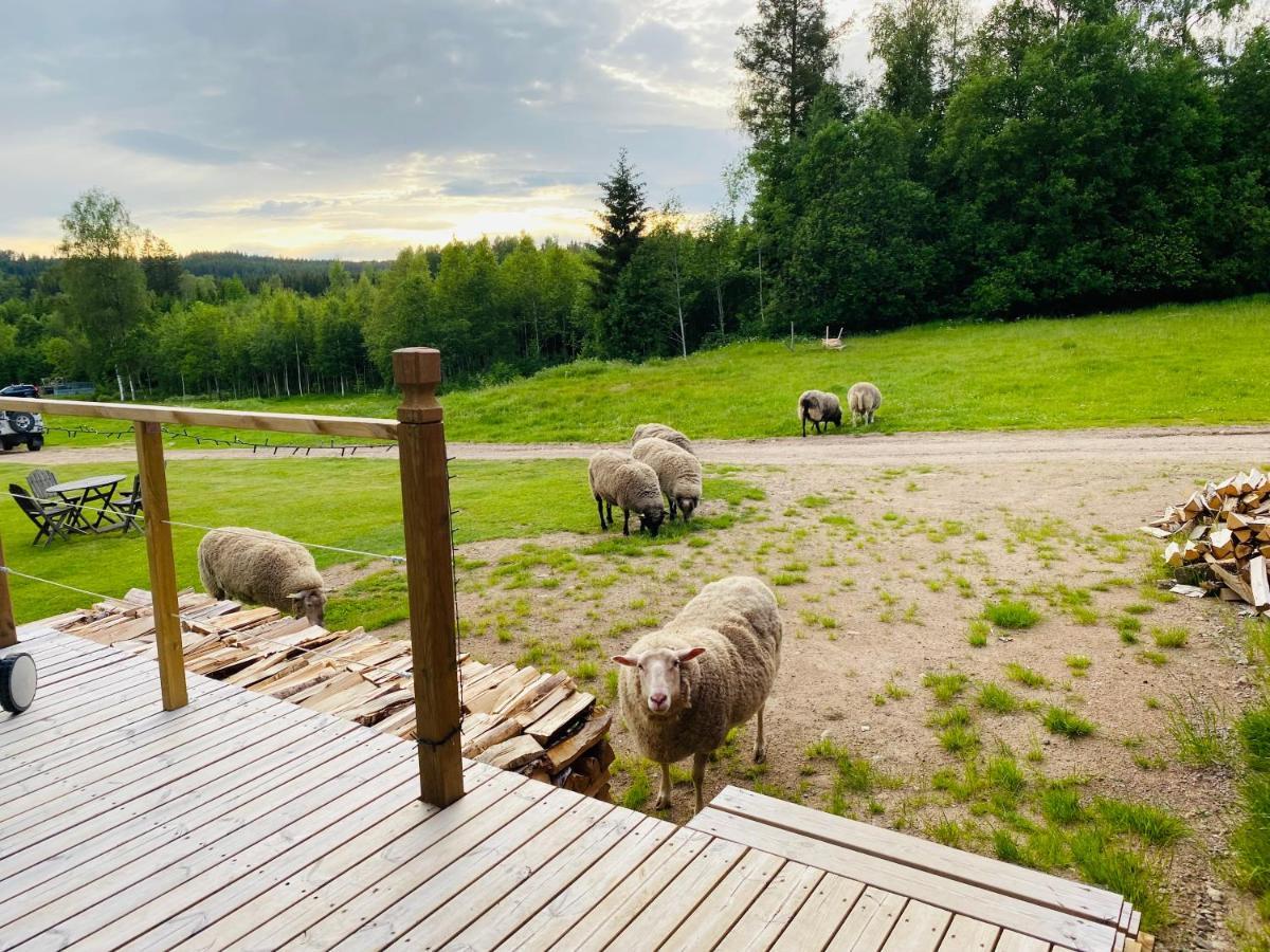 Adventure Guesthouse Sweden In Rural Area Sunne Esterno foto