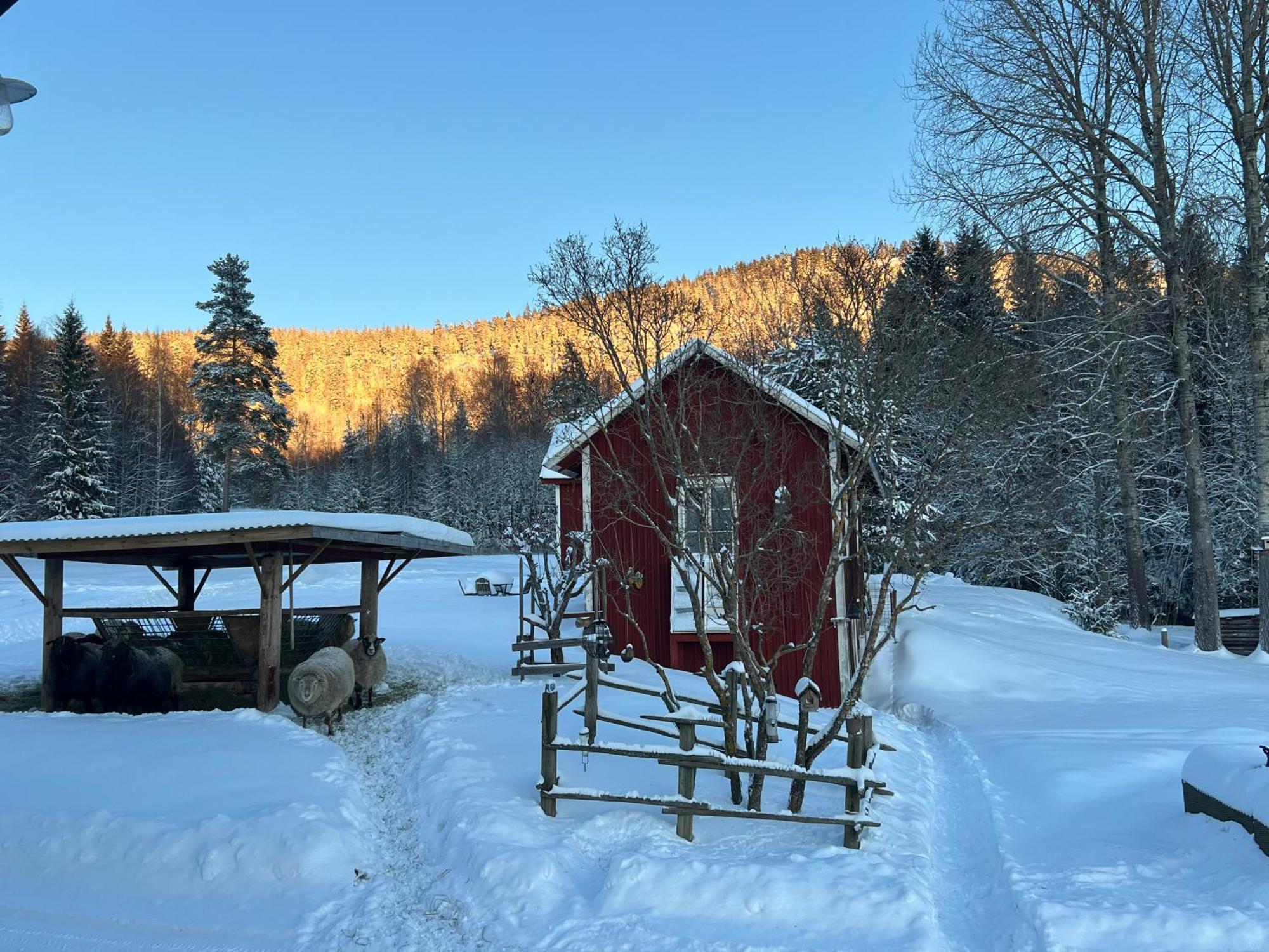 Adventure Guesthouse Sweden In Rural Area Sunne Esterno foto